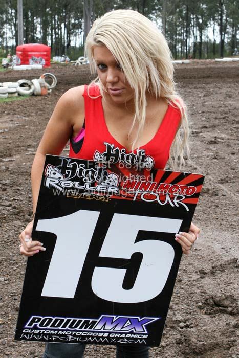 445x677 pixels (82K)